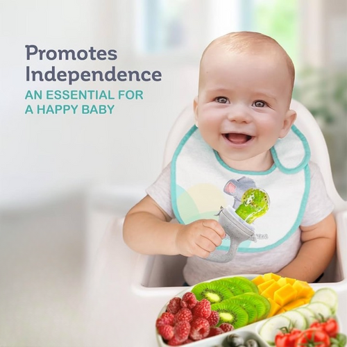 Safe Baby Food