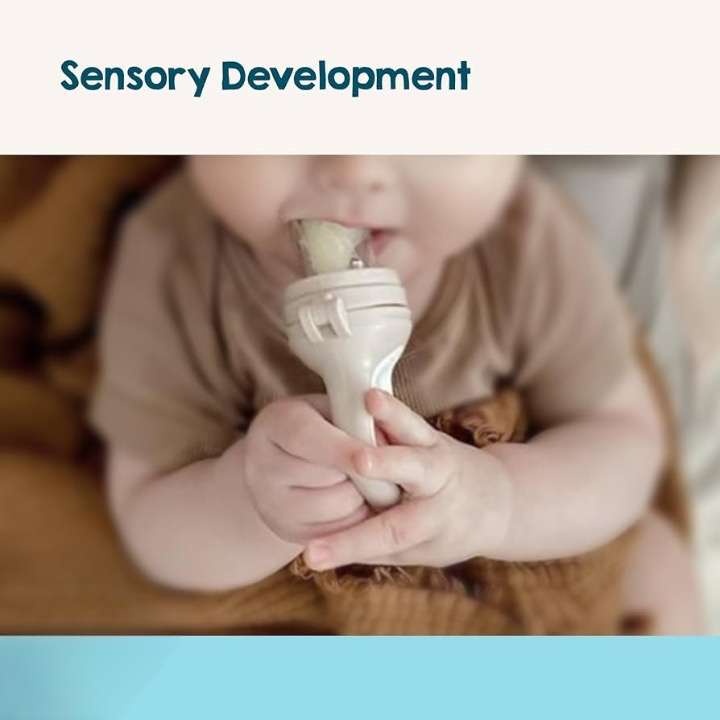 Safe Baby Food